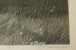Gravure d'après Horace Vernet, cadre bois doré à la feuille d'or époque EMPIRE