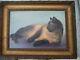 Vintage tableau portrait de chat Siamois/huile carton toilé cadre bois doré